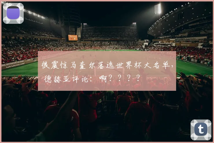 很震惊马奎尔落选世界杯大名单， 德赫亚评论：啊？？？？