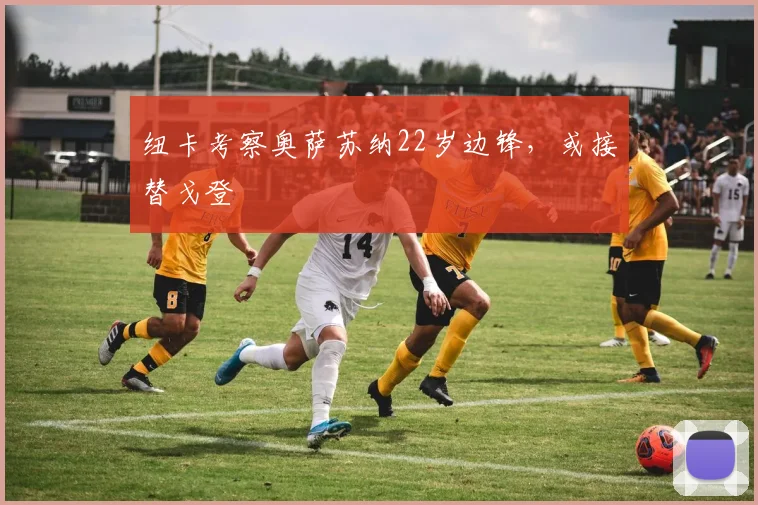 纽卡考察奥萨苏纳22岁边锋，或接替戈登