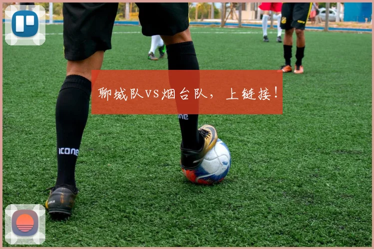 聊城队vs烟台队，上链接！