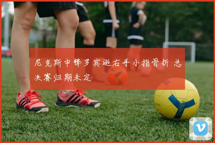 尼克斯中锋罗宾逊右手小指骨折 总决赛归期未定