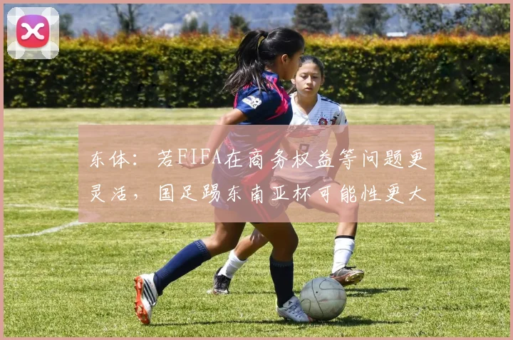 东体:若FIFA在商务权益等问题更灵活,国足踢东南亚杯可能性更大