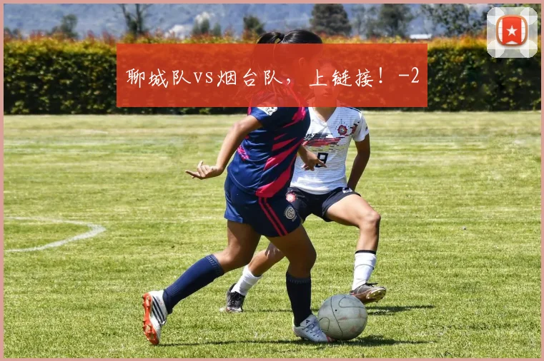 聊城队vs烟台队,上链接!