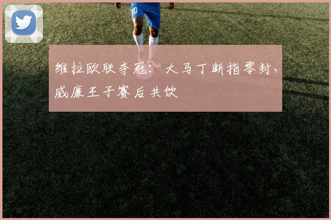 维拉欧联夺冠：大马丁断指零封，威廉王子赛后共饮